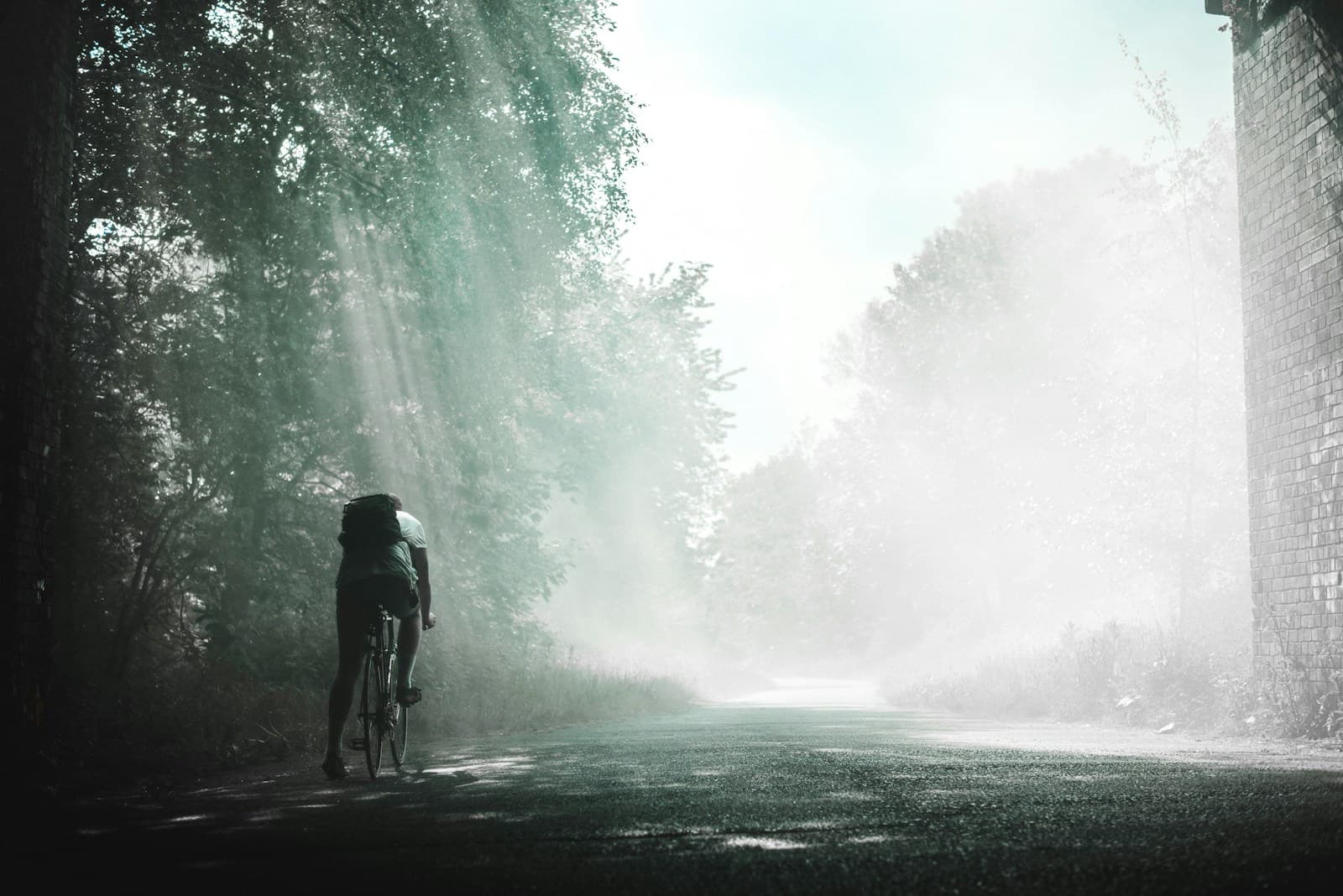 A cyclist riding away along a quiet, sunlit woodland path.